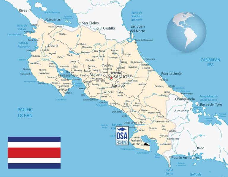 The International Legal Basis of Permanent Neutrality